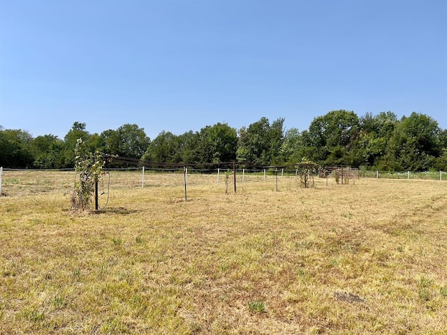 view of yard with a rural view