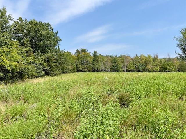 view of local wilderness