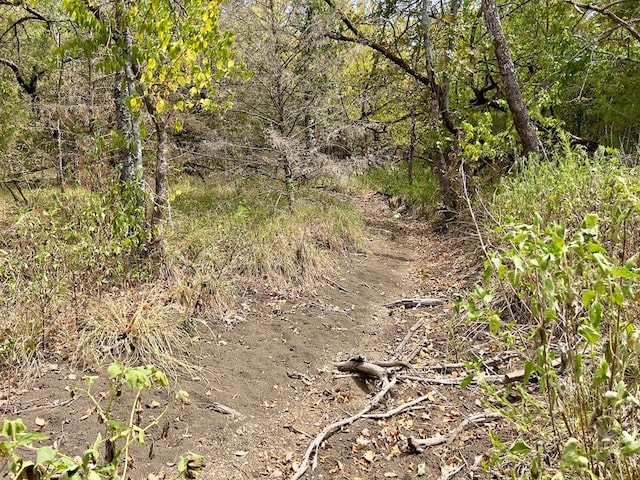 view of landscape