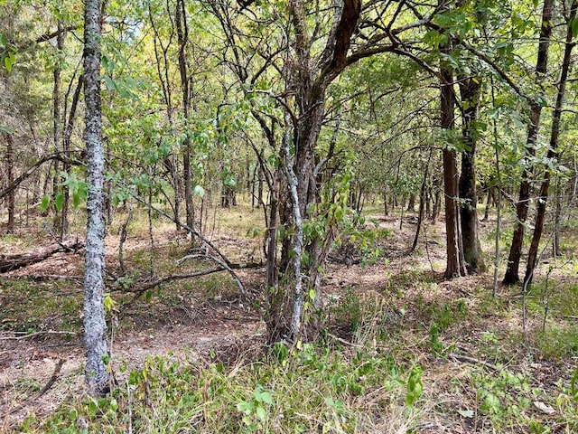 view of local wilderness