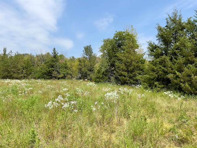 view of local wilderness