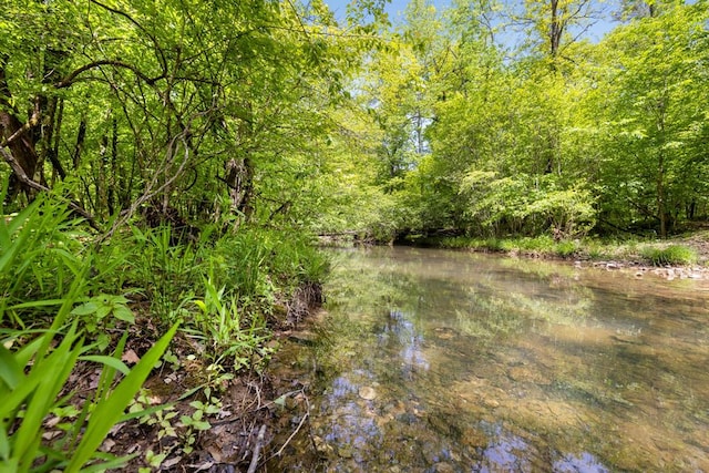 view of nature featuring a water view