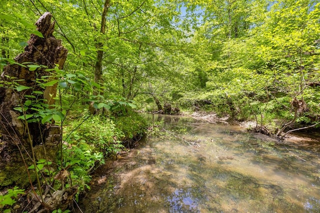 view of nature featuring a water view