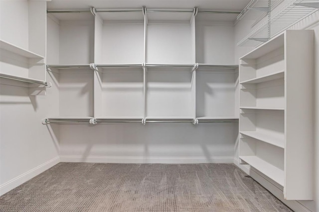 spacious closet with carpet floors