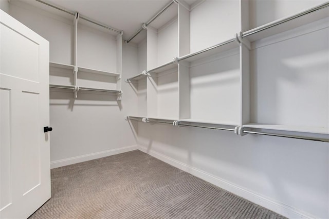 spacious closet with carpet floors