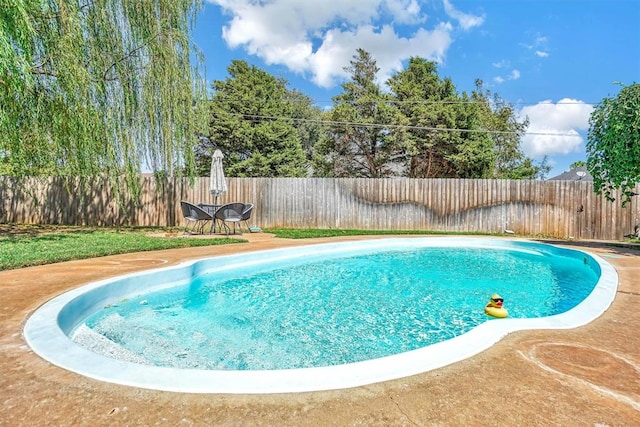 view of swimming pool