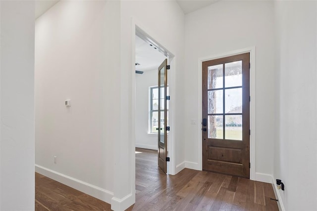 entrance foyer featuring wood-type flooring