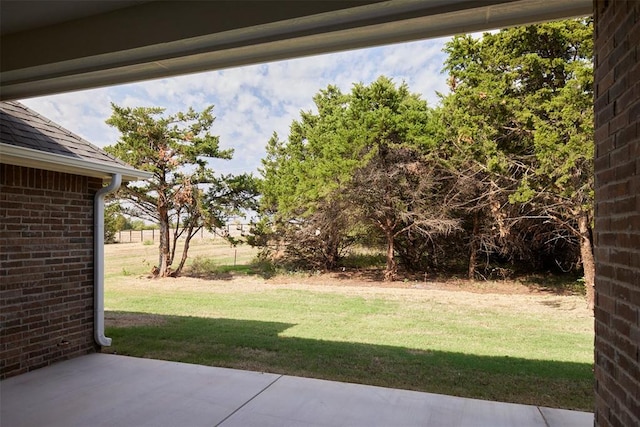 view of yard featuring a patio area