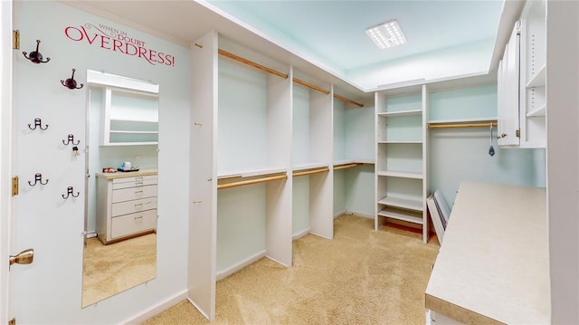 walk in closet with light colored carpet