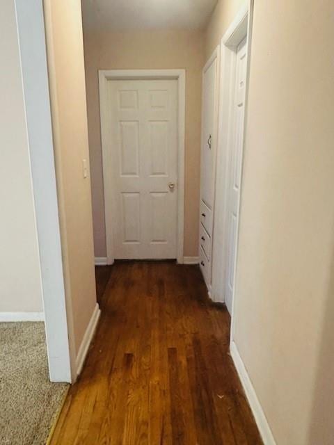 hall featuring dark wood-type flooring