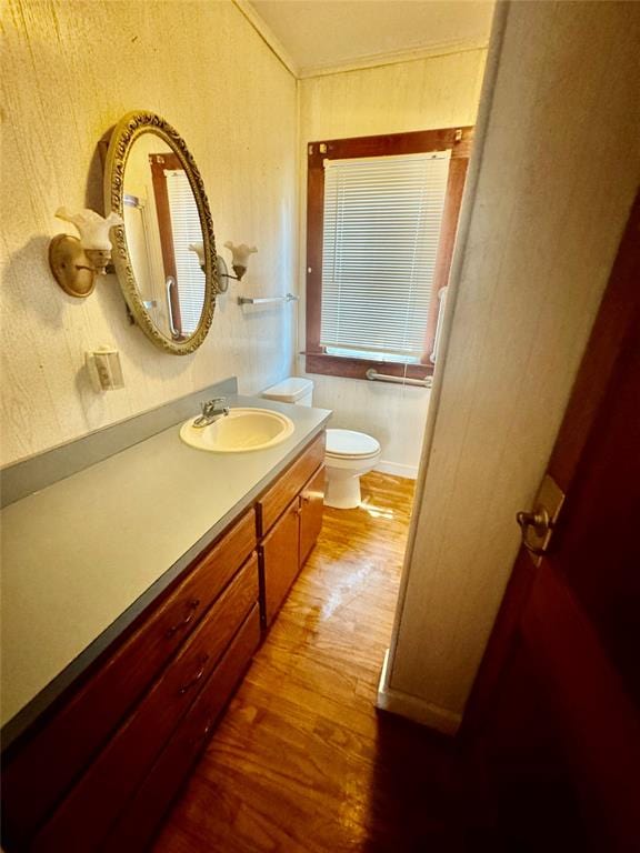 bathroom with hardwood / wood-style flooring, vanity, and toilet