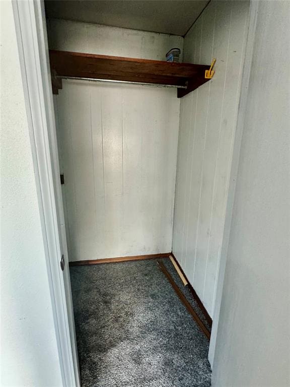 spacious closet with carpet floors