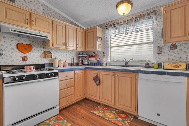 32042 N County Road 1960th Rd, Willow, OK 73673 - photo 15