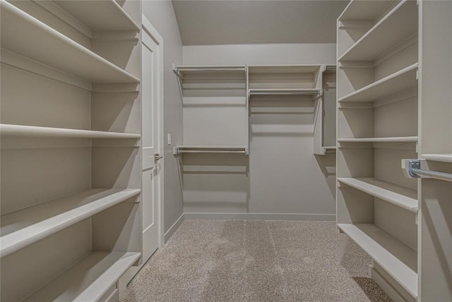 walk in closet featuring carpet floors