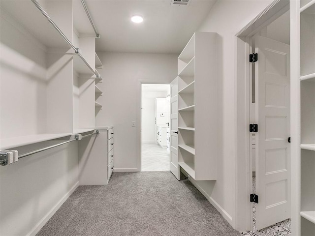 spacious closet with light carpet