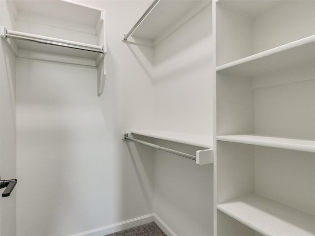 walk in closet with carpet