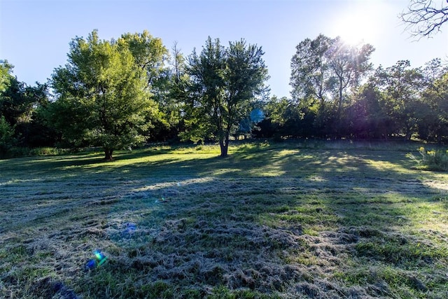 view of yard with a rural view