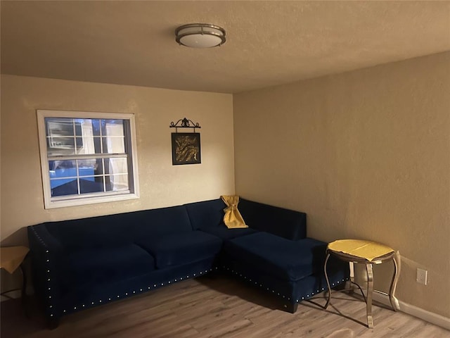 living room featuring hardwood / wood-style floors