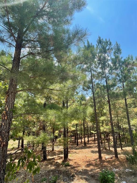 64 Pine Root Ct, Broken Bow OK, 74728 land for sale