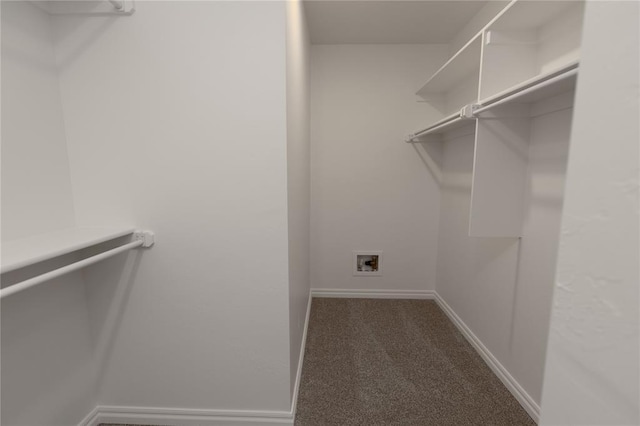 spacious closet featuring dark colored carpet