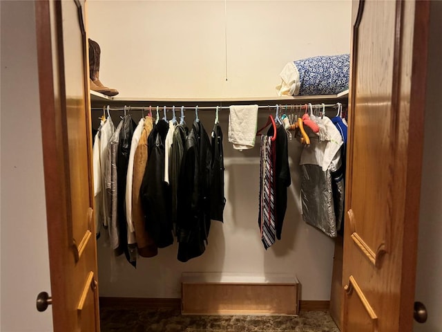 view of walk in closet