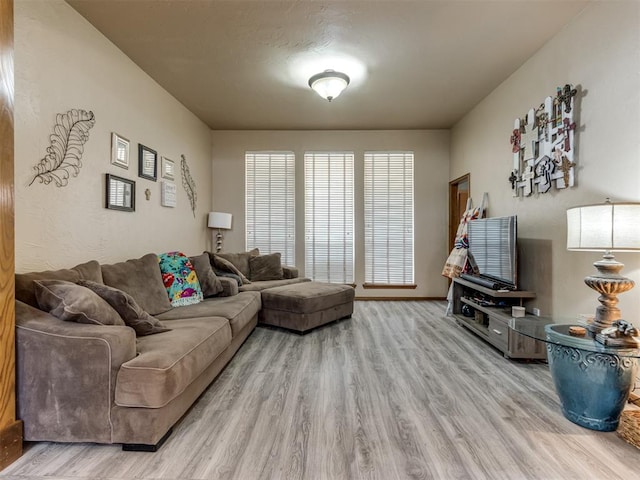 living room featuring light wood-type flooring