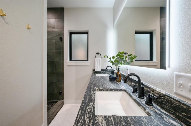 bathroom with vanity and walk in shower