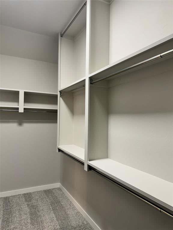 spacious closet with carpet floors