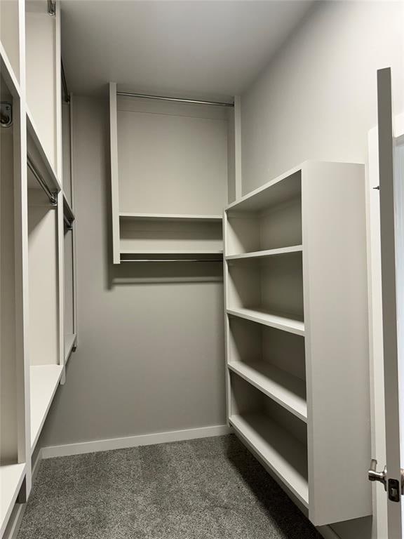 spacious closet featuring dark colored carpet