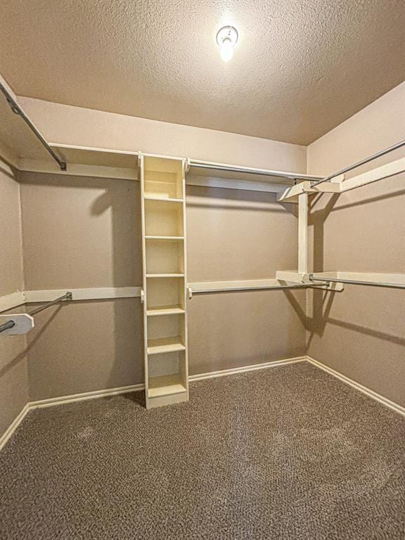 spacious closet featuring carpet