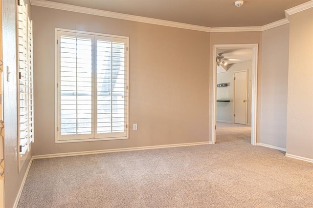 empty room with light carpet and crown molding