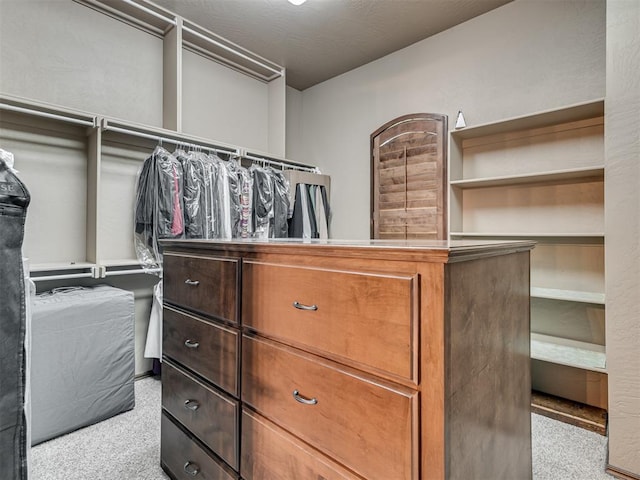 spacious closet with light carpet