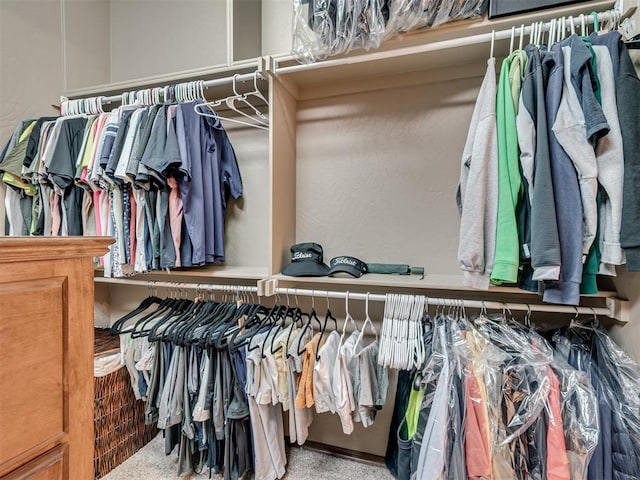 spacious closet with carpet floors