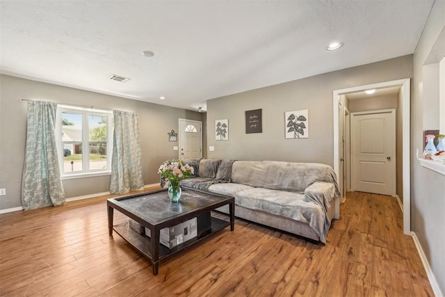 living room with light wood-type flooring