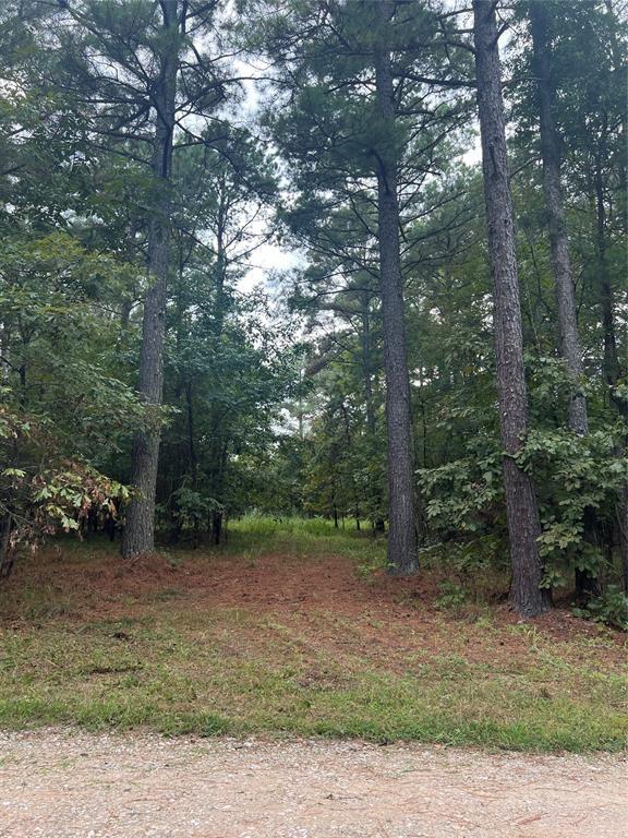 9 Pine Bluff Ln, Broken Bow, OK 74728