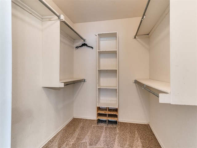 walk in closet featuring carpet flooring