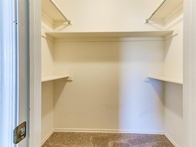 walk in closet featuring carpet floors