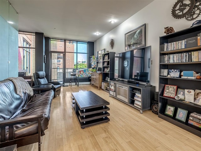 living room featuring light hardwood / wood-style floors and floor to ceiling windows