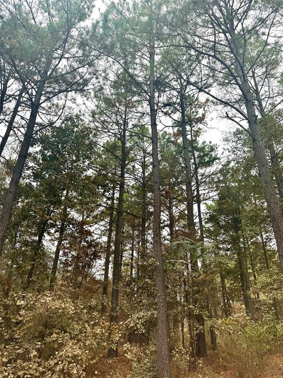 685 Johnny Beavers Trl Rd, Broken Bow OK, 74728 land for sale