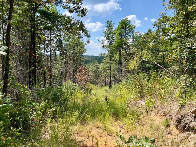 40 Zafra Rd, Smithville, OK 74957