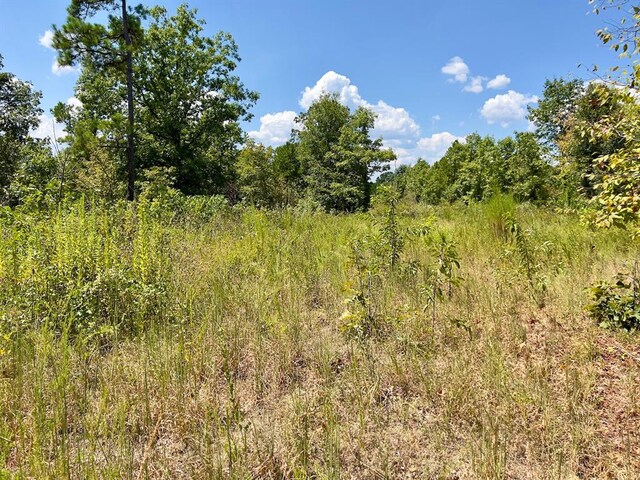 40 Zafra Rd, Smithville, OK 74957