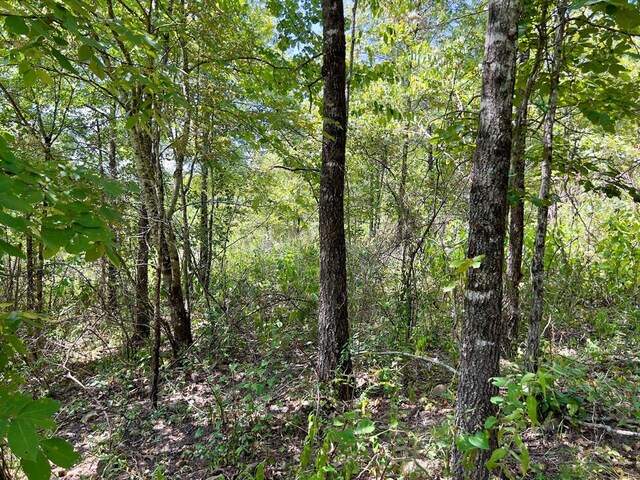 40 Zafra Rd, Smithville, OK 74957