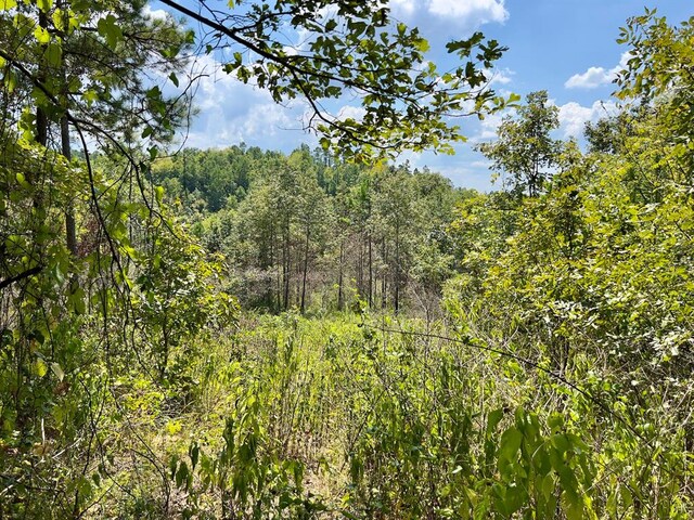 40 Zafra Rd, Smithville, OK 74957