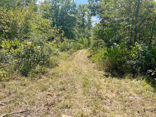 40 Zafra Rd, Smithville, OK 74957