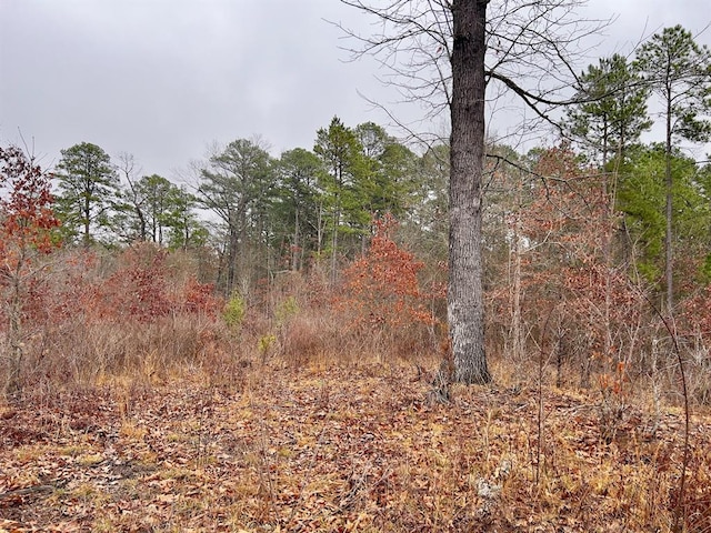 40 Zafra Rd, Smithville, OK 74957