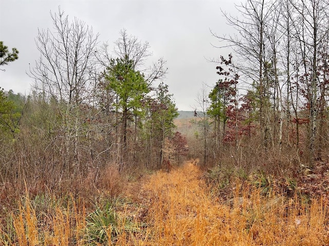 40 Zafra Rd, Smithville, OK 74957