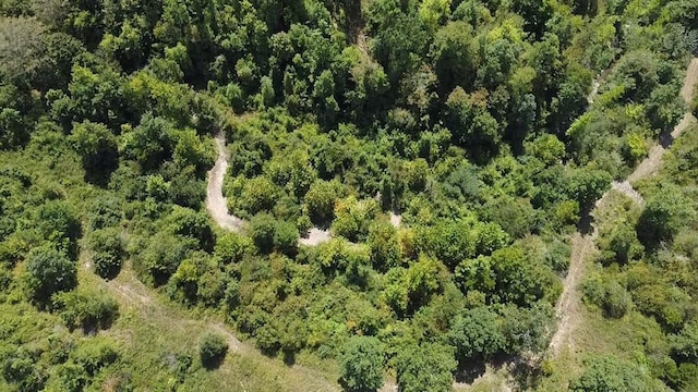 40 Zafra Rd, Smithville, OK 74957