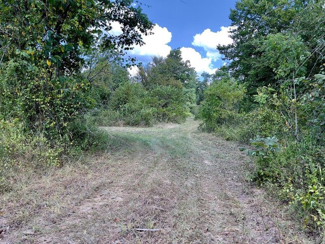 40 Zafra Rd, Smithville, OK 74957