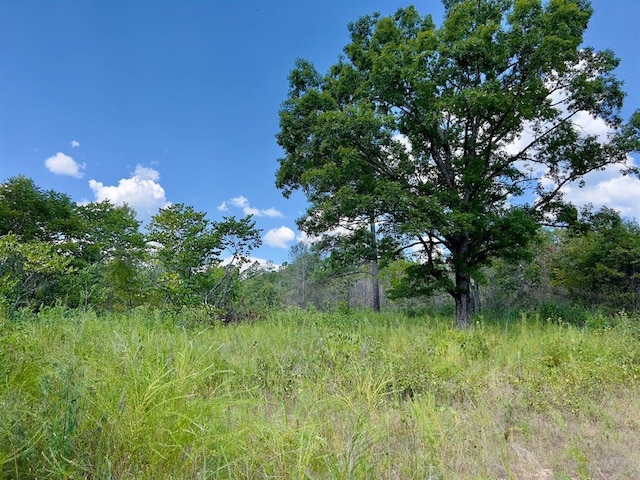 40 Zafra Rd, Smithville, OK 74957