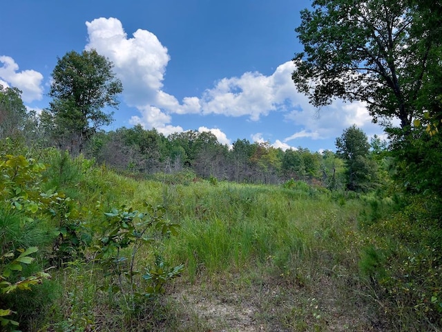 40 Zafra Rd, Smithville, OK 74957